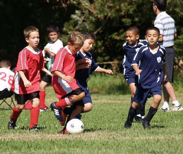 2012_Soccer_Seed_2