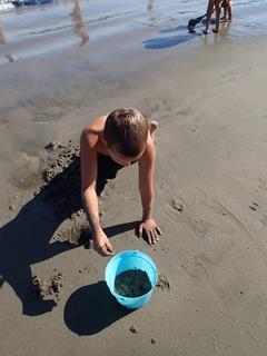 2013 Summer SC Beach (1)